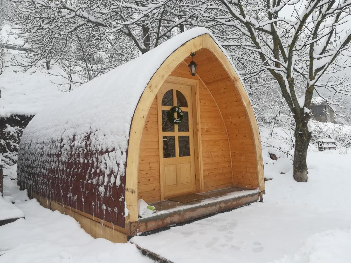 Vila Jelena - Bungalov Crni Vrh Exteriör bild