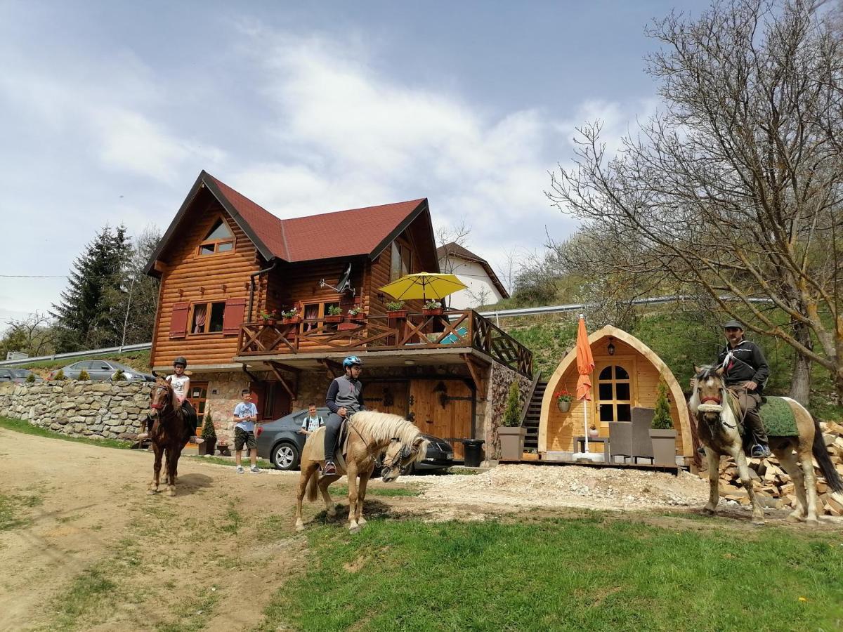 Vila Jelena - Bungalov Crni Vrh Exteriör bild